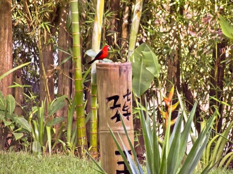 Pousada Bambu Itacaré Buitenkant foto