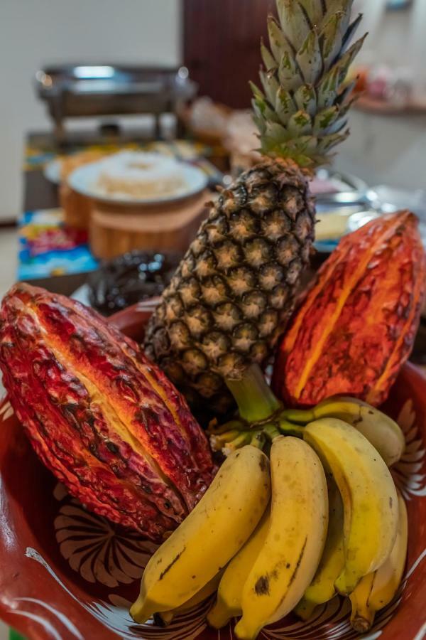 Pousada Bambu Itacaré Buitenkant foto
