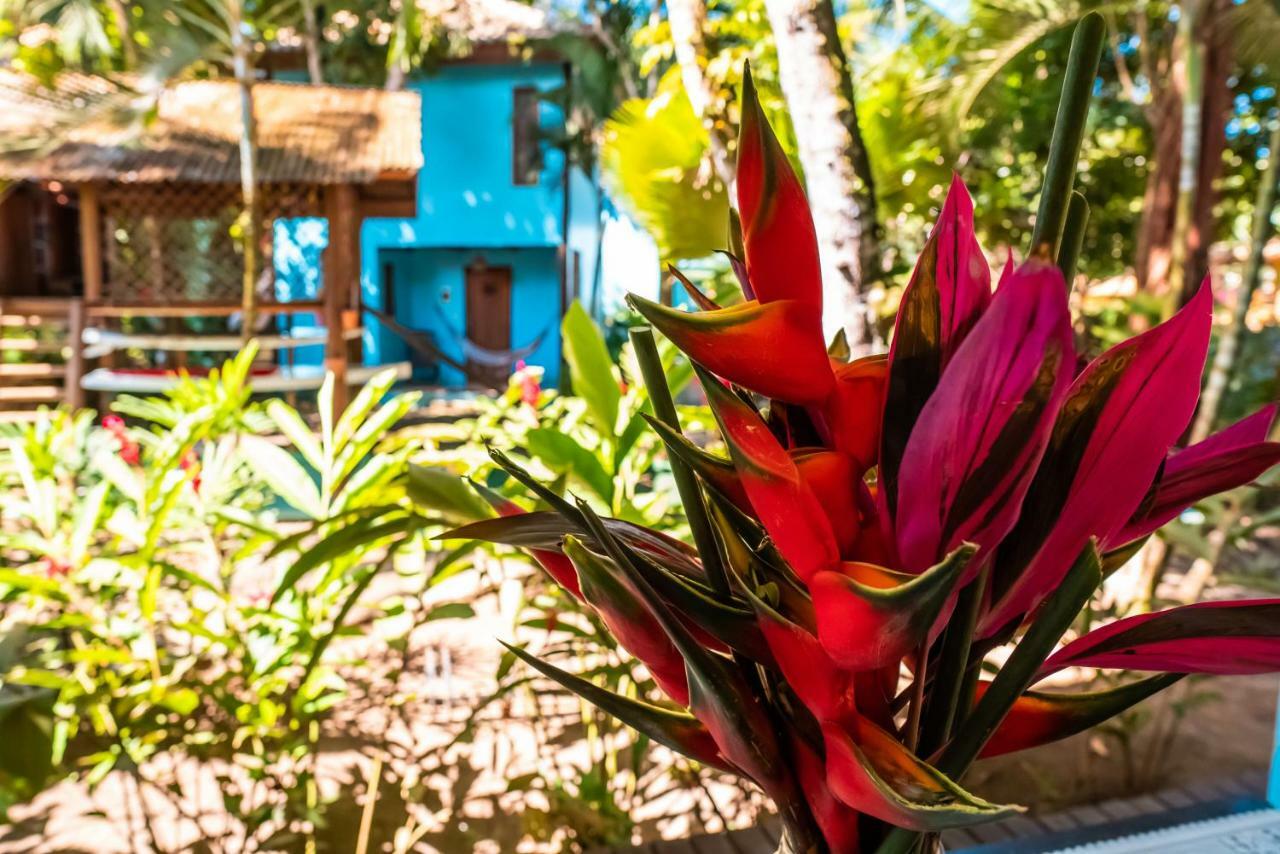 Pousada Bambu Itacaré Buitenkant foto